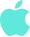 apple-icon